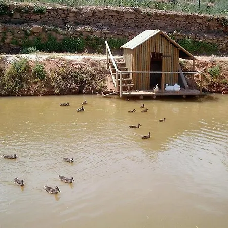 Valonquinta - Agro & Вила-Флор