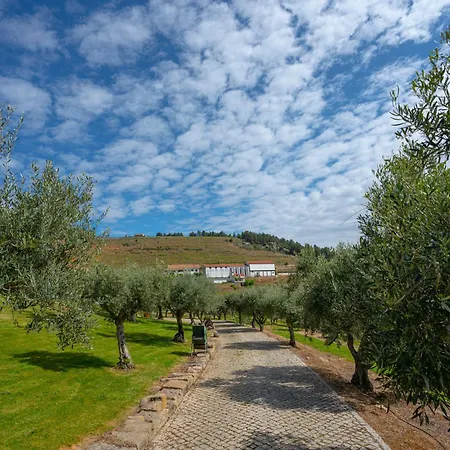 Valonquinta - Agro & 4*