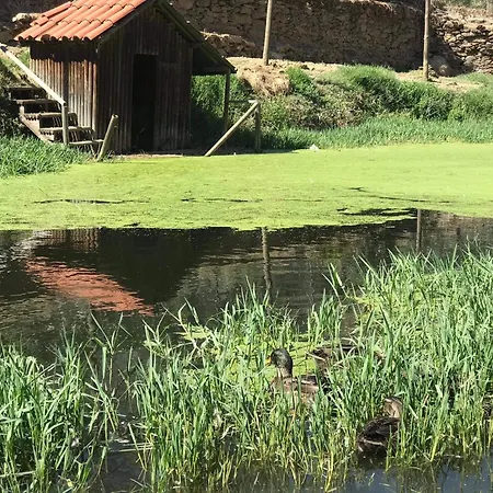 Pensjonat Valonquinta - Agro &