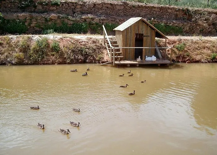 Valonquinta - Agro & فيلا فلور