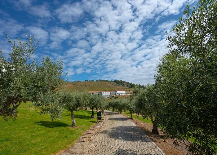 Valonquinta - Agro & 4*