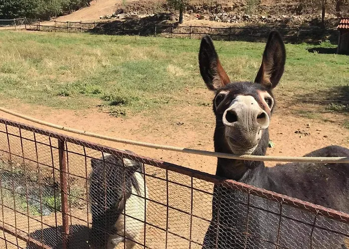 Valonquinta - Agro & Vila Flor