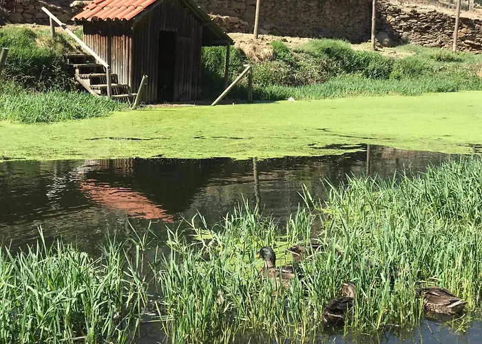 Guest house Valonquinta - Agro &